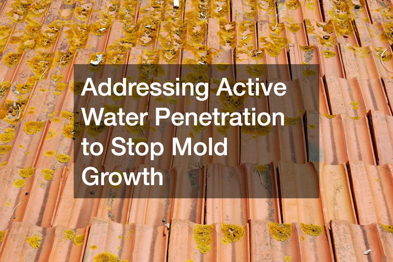 Addressing Active Water Penetration to Stop Mold Growth