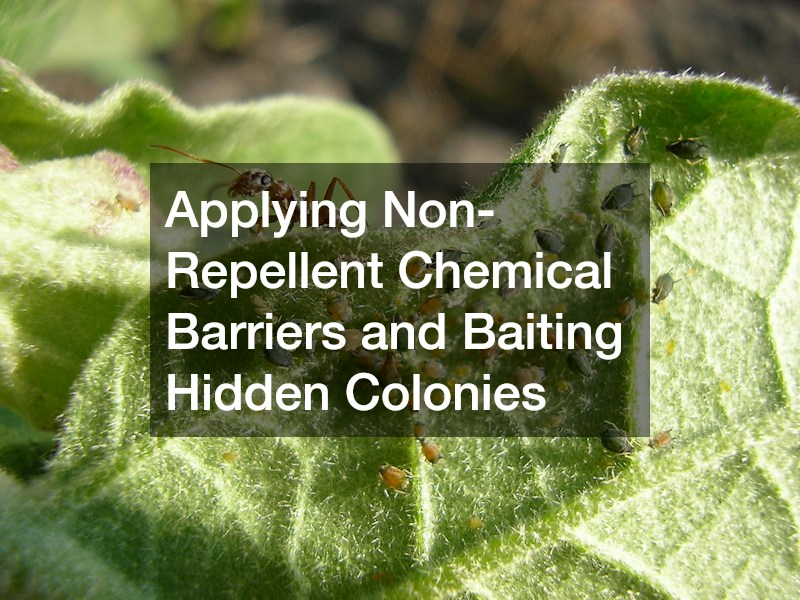 Applying Non-Repellent Chemical Barriers and Baiting Hidden Colonies