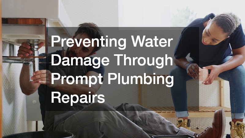 Preventing Water Damage Through Prompt Plumbing Repairs
