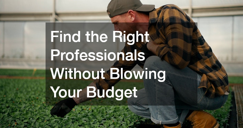 Find the Right Professionals Without Blowing Your Budget