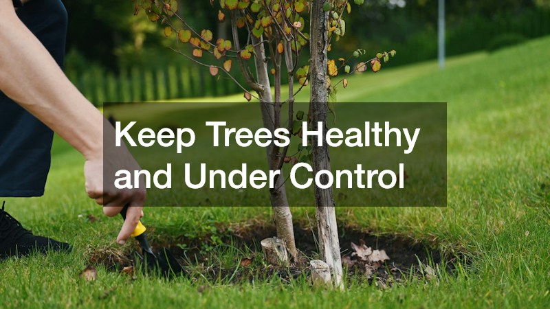Keep Trees Healthy and Under Control