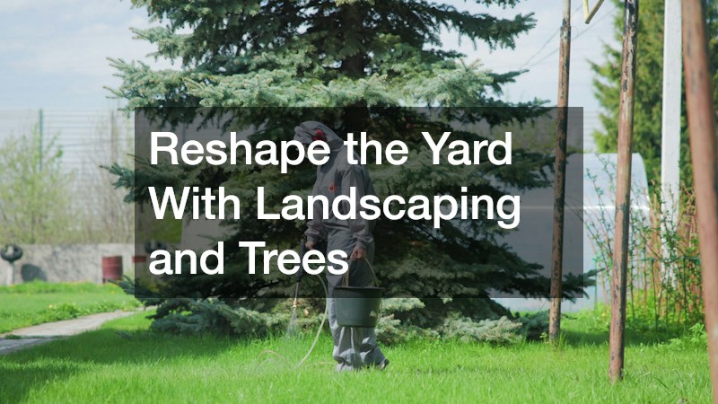 Reshape the Yard With Landscaping and Trees