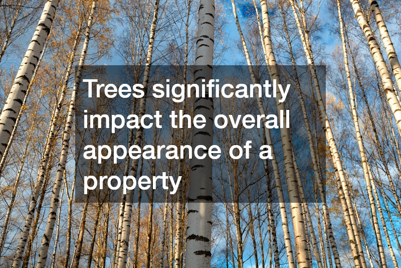 Trees significantly impact the overall appearance of a property