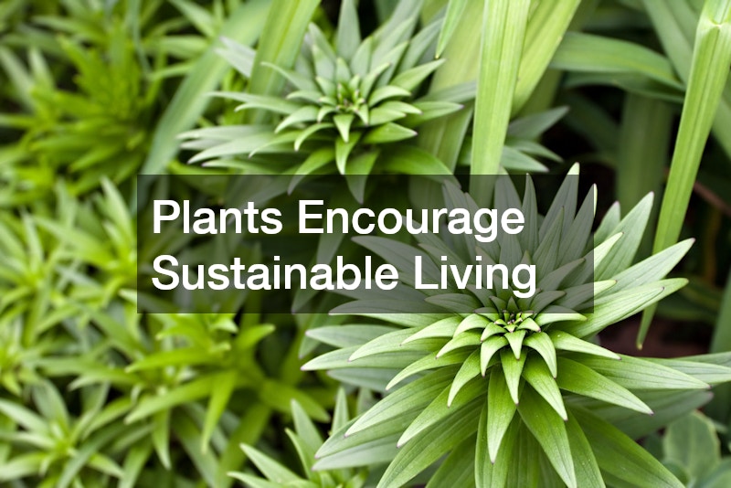 Plants Encourage Sustainable Living