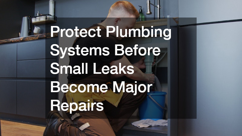 Protect Plumbing Systems Before Small Leaks Become Major Repairs