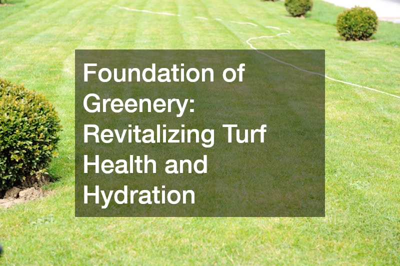 Foundation of Greenery: Revitalizing Turf Health and Hydration