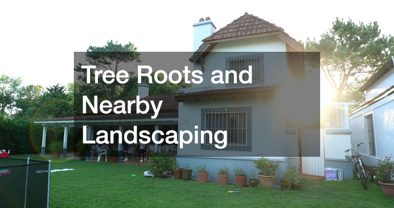 Tree Roots and Nearby Landscaping