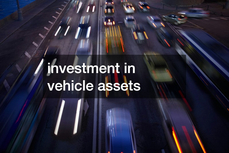 investment in vehicle assets