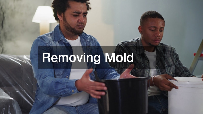 Removing Mold