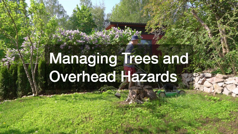 Managing Trees and Overhead Hazards
