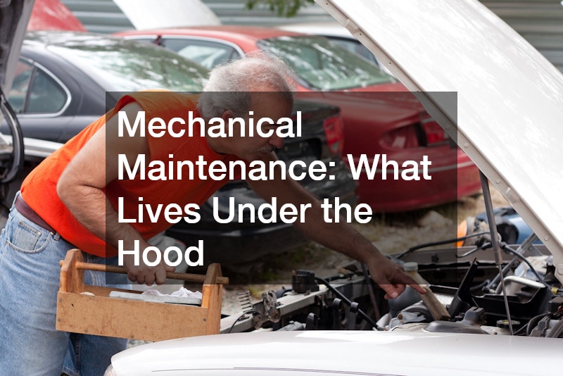 Mechanical Maintenance: What Lives Under the Hood