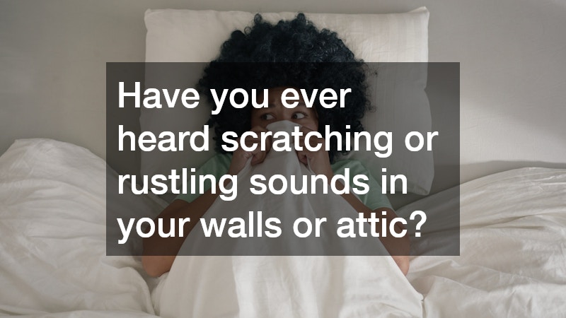 Have you ever heard scratching or rustling sounds in your walls or attic? 