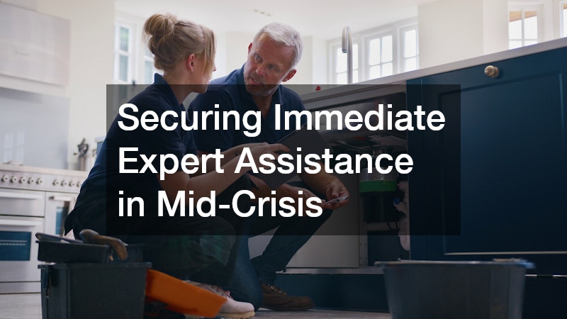 Securing Immediate Expert Assistance in Mid-Crisis