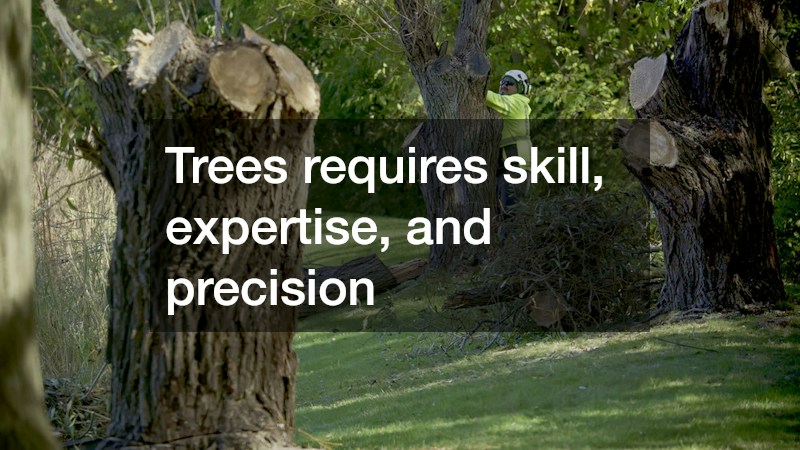 Trees requires skill, expertise, and precision