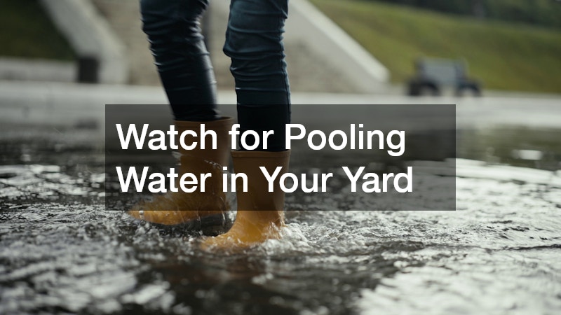 Watch for Pooling Water in Your Yard