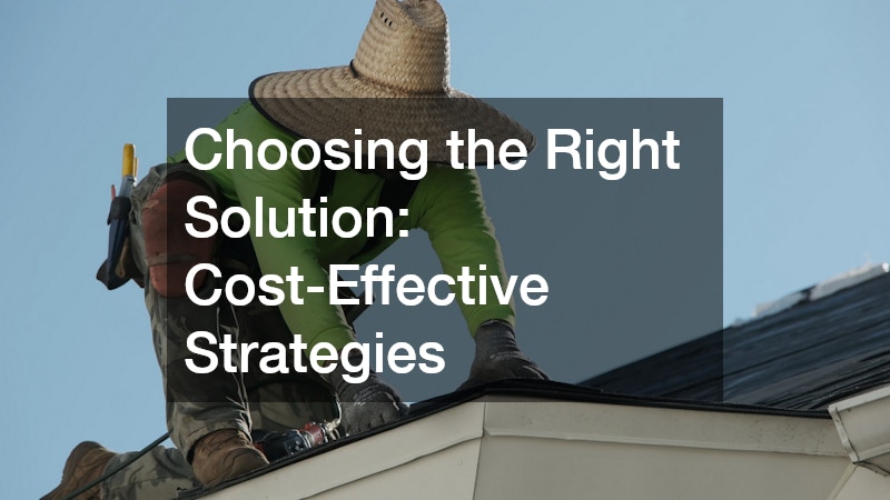 Choosing the Right Solution: Cost-Effective Strategies