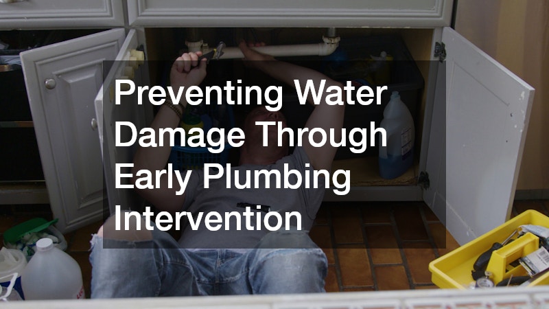 Preventing Water Damage Through Early Plumbing Intervention