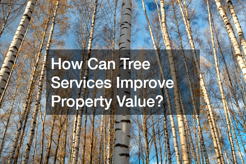 How Can Tree Services Improve Property Value?
