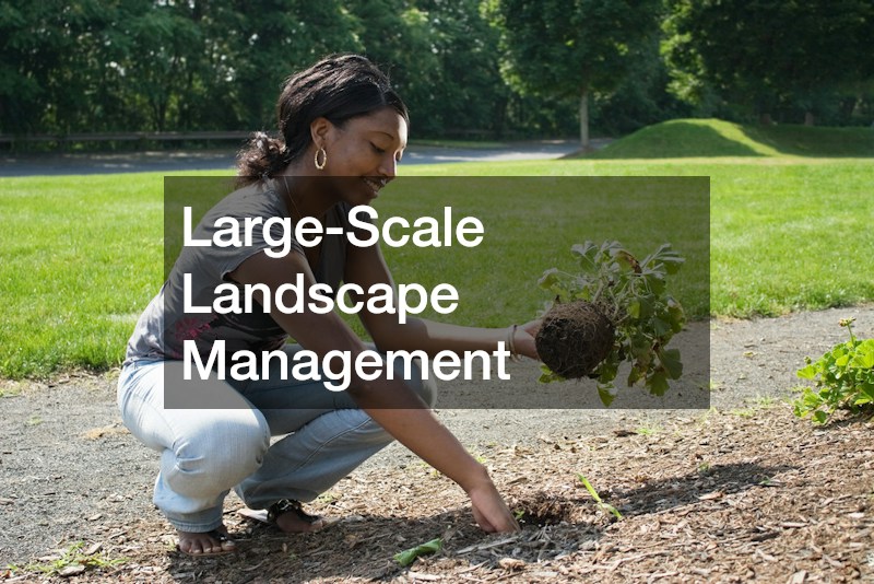 Large-Scale Landscape Management