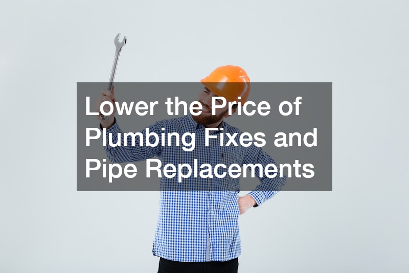 Lower the Price of Plumbing Fixes and Pipe Replacements