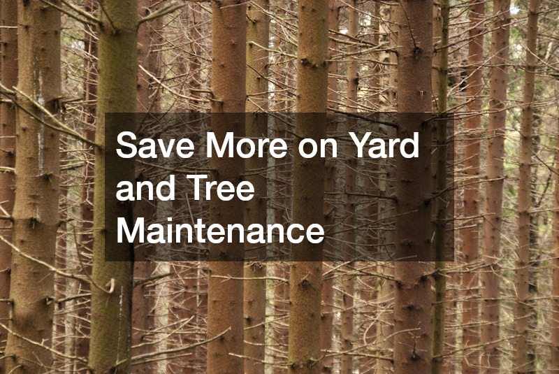 Save More on Yard and Tree Maintenance