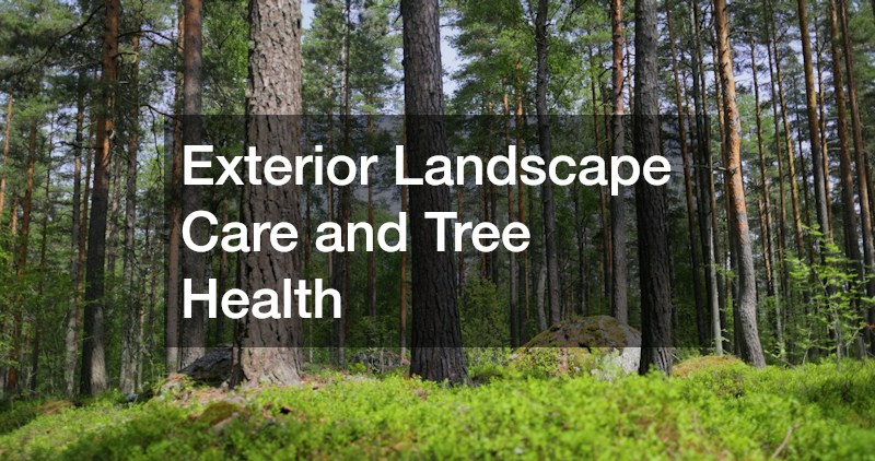 Exterior Landscape Care and Tree Health