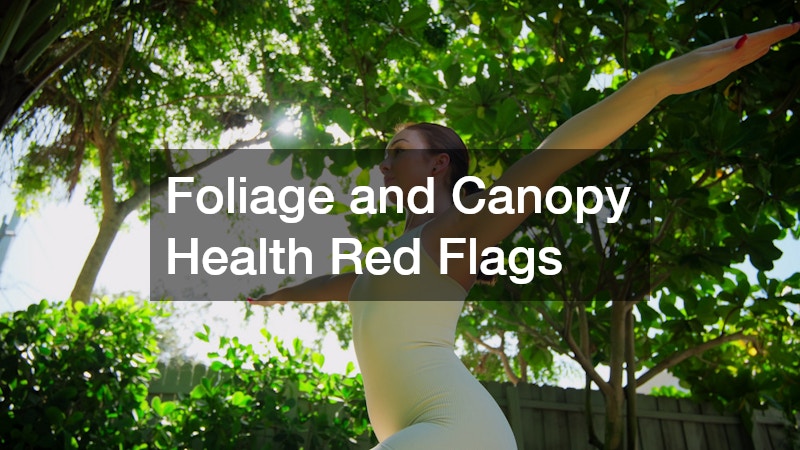 Foliage and Canopy Health Red Flags