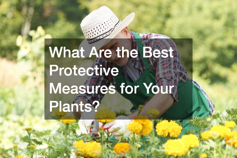 What Are the Best Protective Measures for Your Plants?