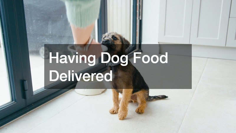 Having Dog Food Delivered