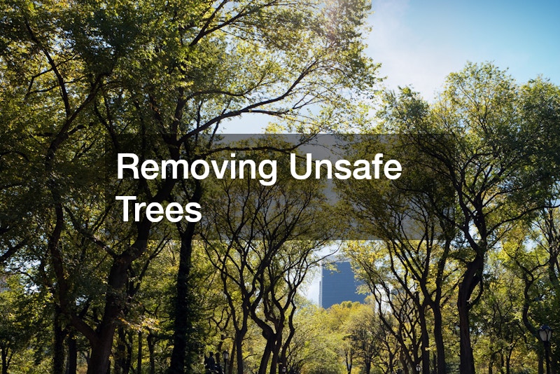 Removing Unsafe Trees