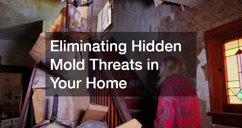 Eliminating Hidden Mold Threats in Your Home
