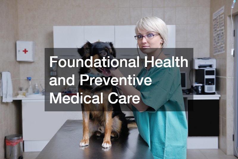 Foundational Health and Preventive Medical Care