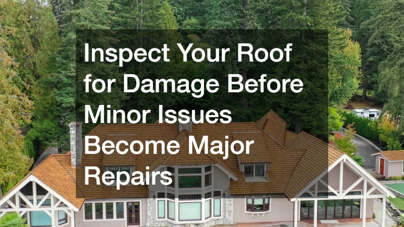 Inspect Your Roof for Damage Before Minor Issues Become Major Repairs
