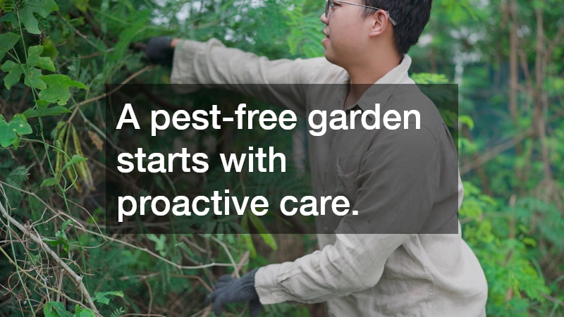 A pest-free garden starts with proactive care.