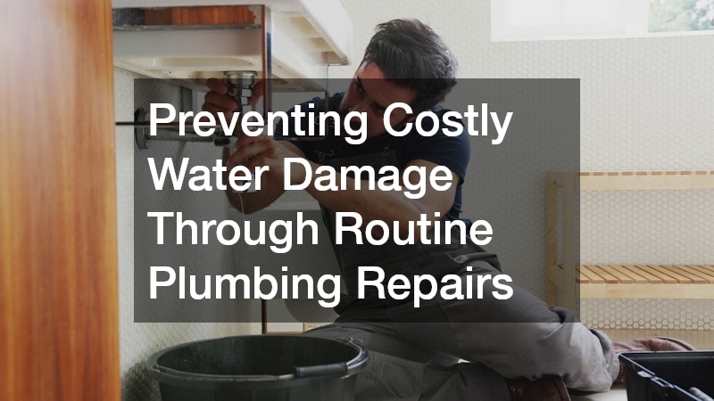 Preventing Costly Water Damage Through Routine Plumbing Repairs