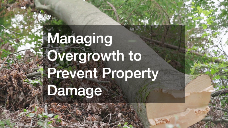 Managing Overgrowth to Prevent Property Damage