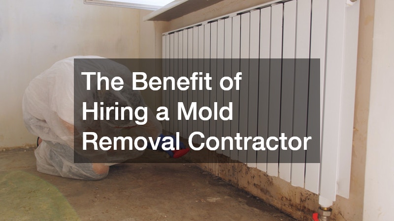 The Benefit of Hiring a Mold Removal Contractor