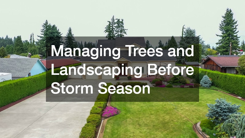Managing Trees and Landscaping Before Storm Season