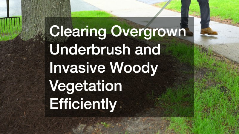 Clearing Overgrown Underbrush and Invasive Woody Vegetation Efficiently