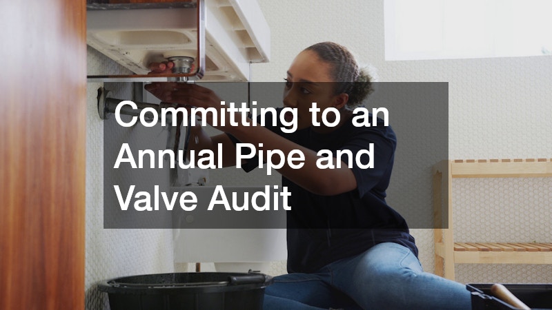 Committing to an Annual Pipe and Valve Audit