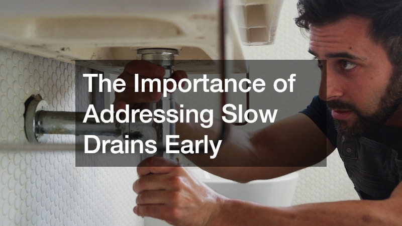 The Importance of Addressing Slow Drains Early