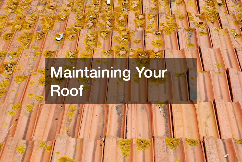 Maintaining Your Roof
