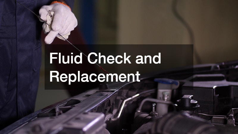 Fluid Check and Replacement