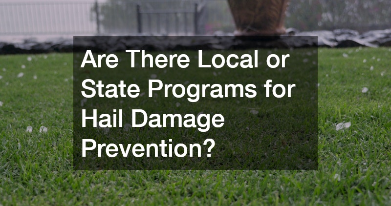 Are There Local or State Programs for Hail Damage Prevention?