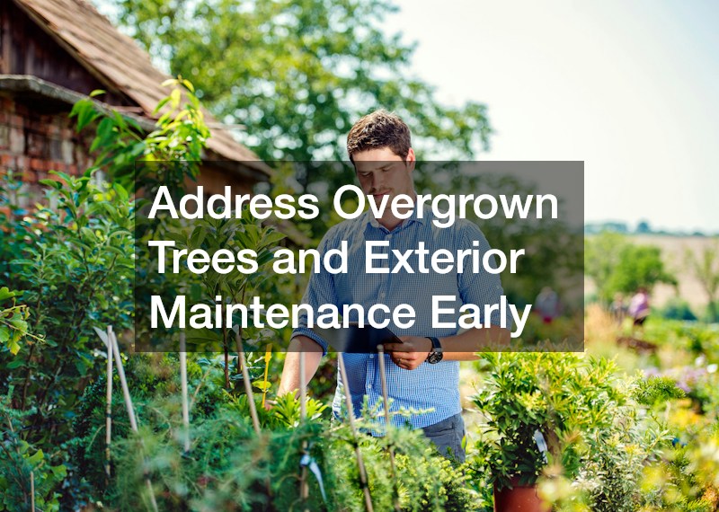 Address Overgrown Trees and Exterior Maintenance Early