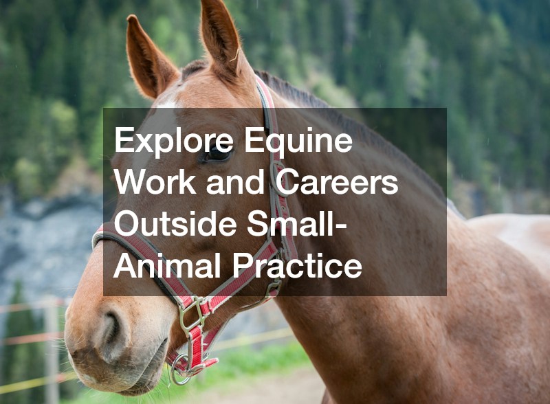 Explore Equine Work and Careers Outside Small-Animal Practice