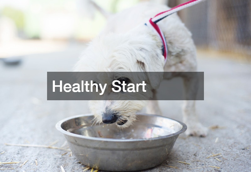 Healthy Start