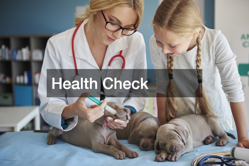 Health Check