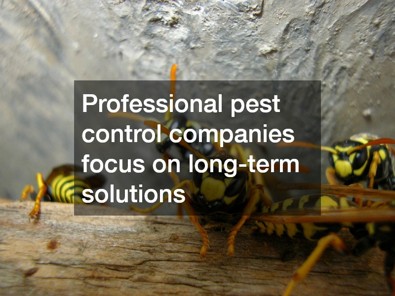 Professional pest control companies focus on long-term solutions