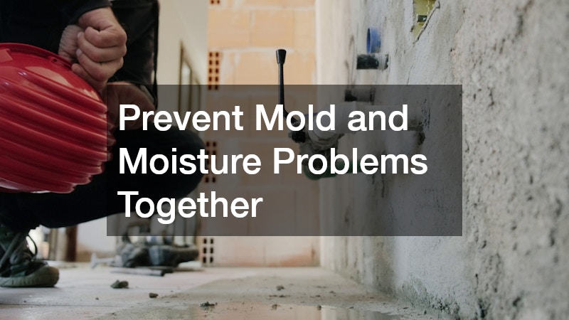 Prevent Mold and Moisture Problems Together